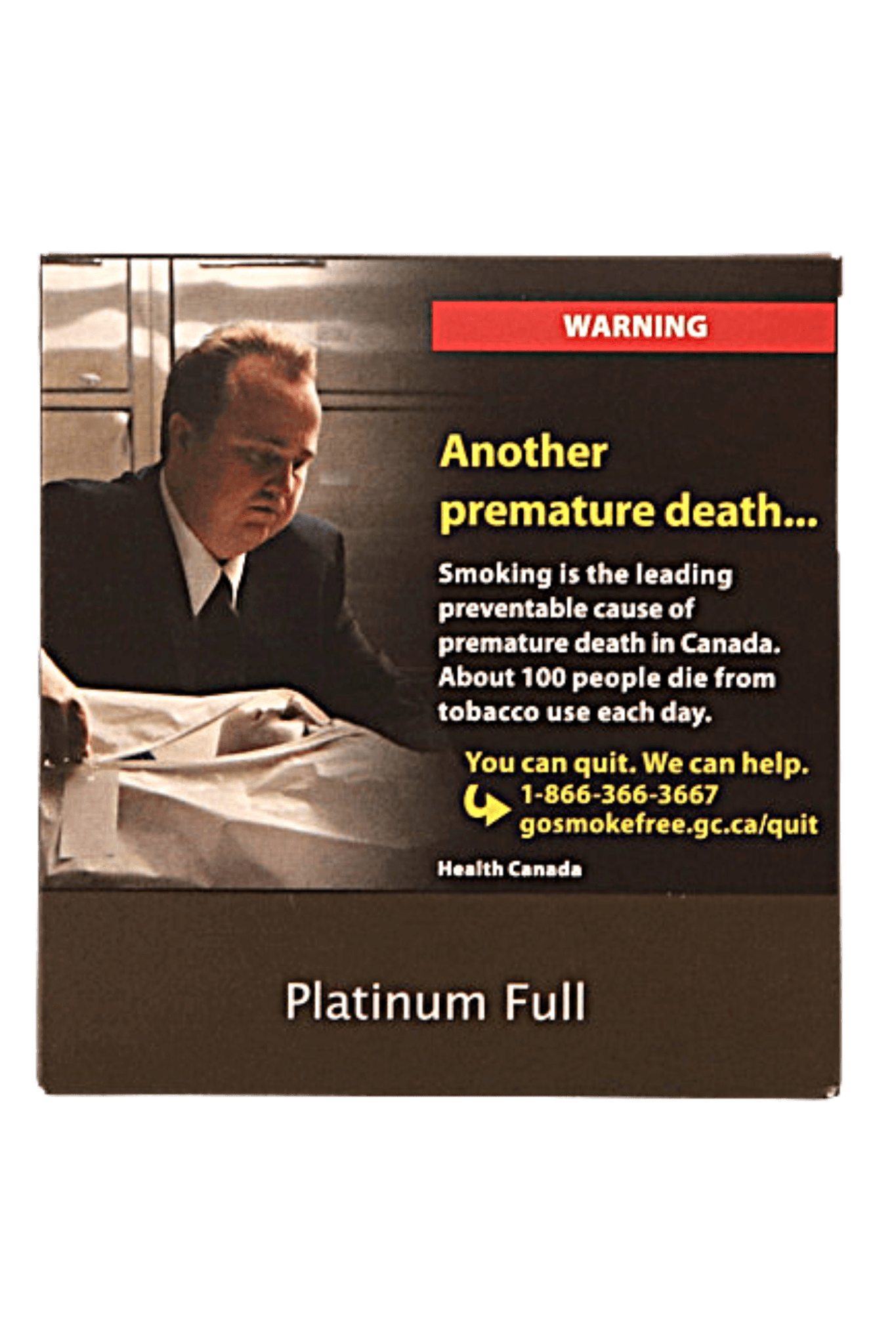 Platinum Cigarette KS (10X20)